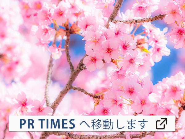 【伊豆宿】２０２３年１月１０日再開、「全国旅行支援」を使って早咲きの梅や桜を愛でる旅へ。春の花とまんぞくバイキング！
